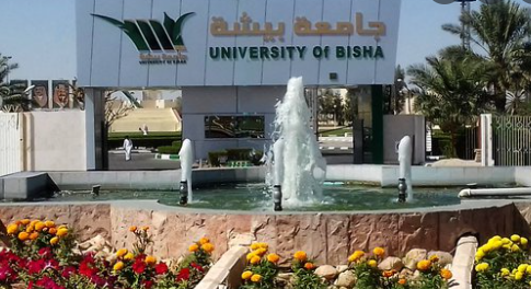 The University of Bisha Scholarship for International Students 2023. Apply Now