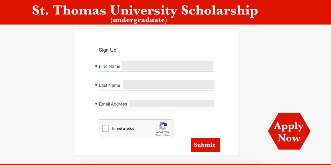 Comprehensive Guide to St. Thomas University Scholarships 2024
