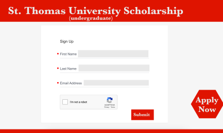 Comprehensive Guide to St. Thomas University Scholarships 2024