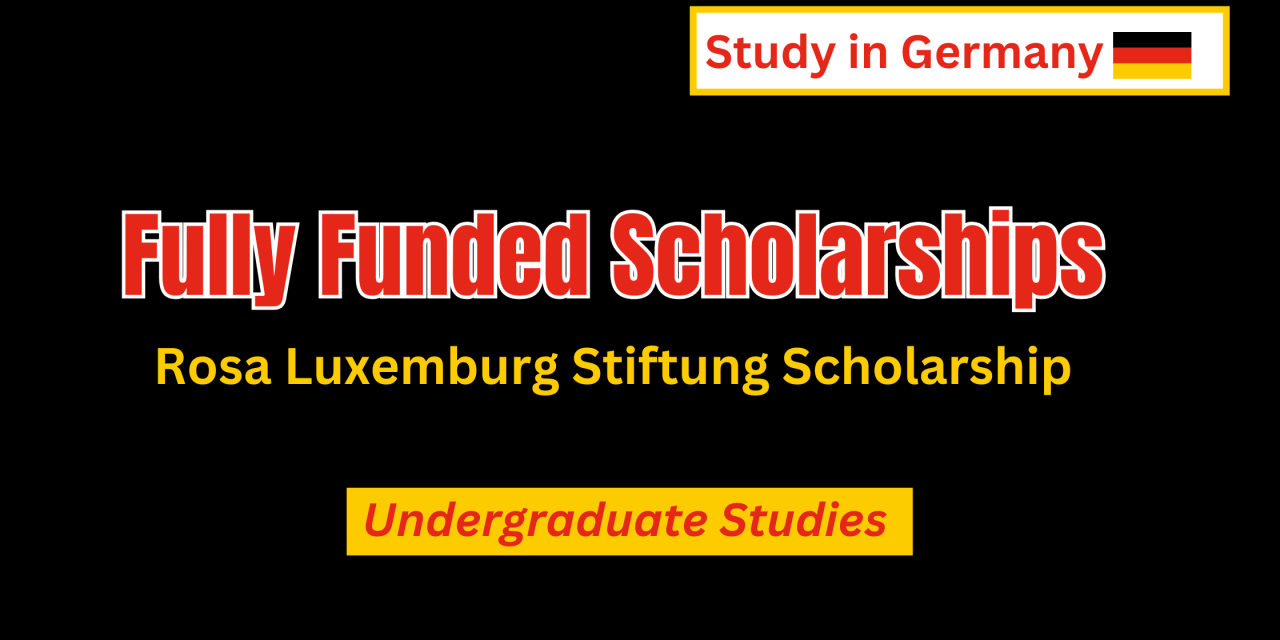 (Exclusive) Rosa Luxemburg Foundation Scholarships 2024.Apply Now